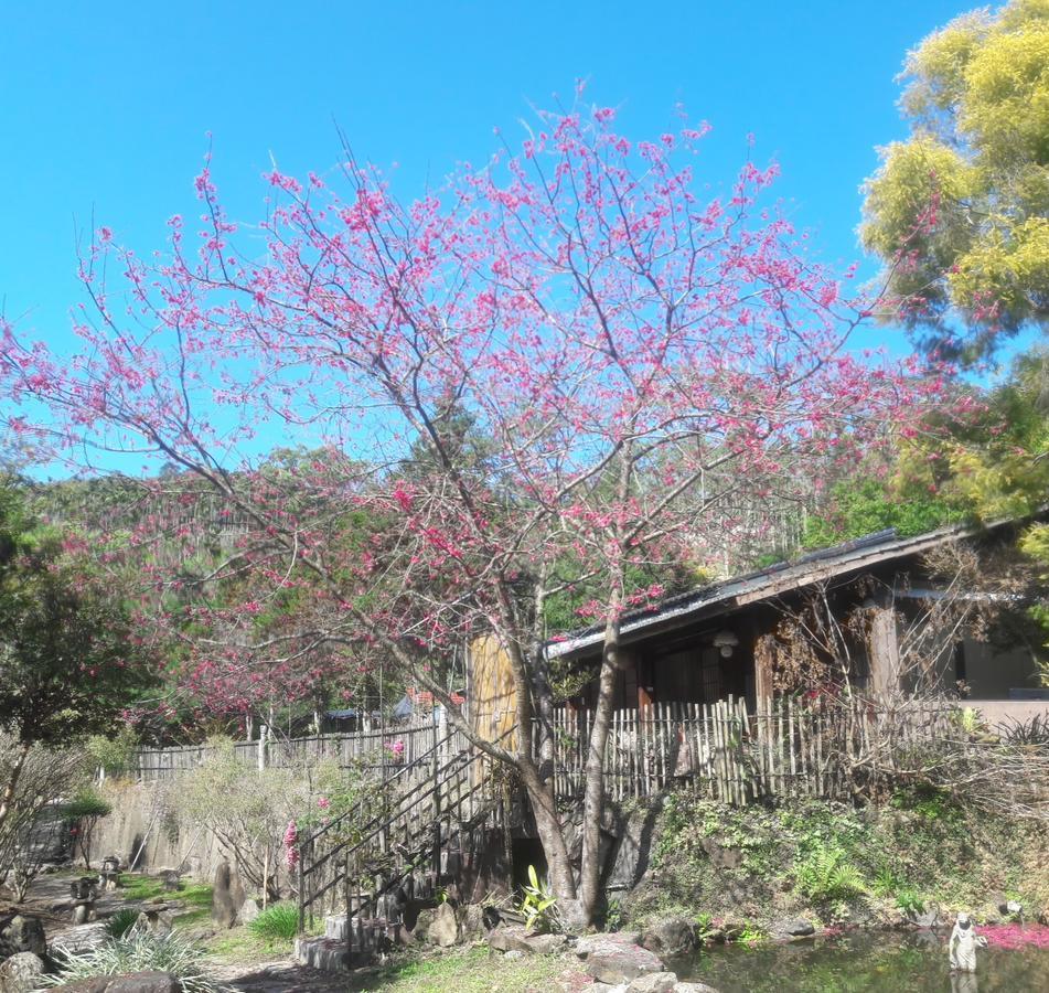 Bright Moon Homestay Dongshi  Eksteriør billede