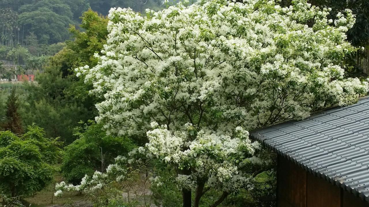 Bright Moon Homestay Dongshi  Eksteriør billede