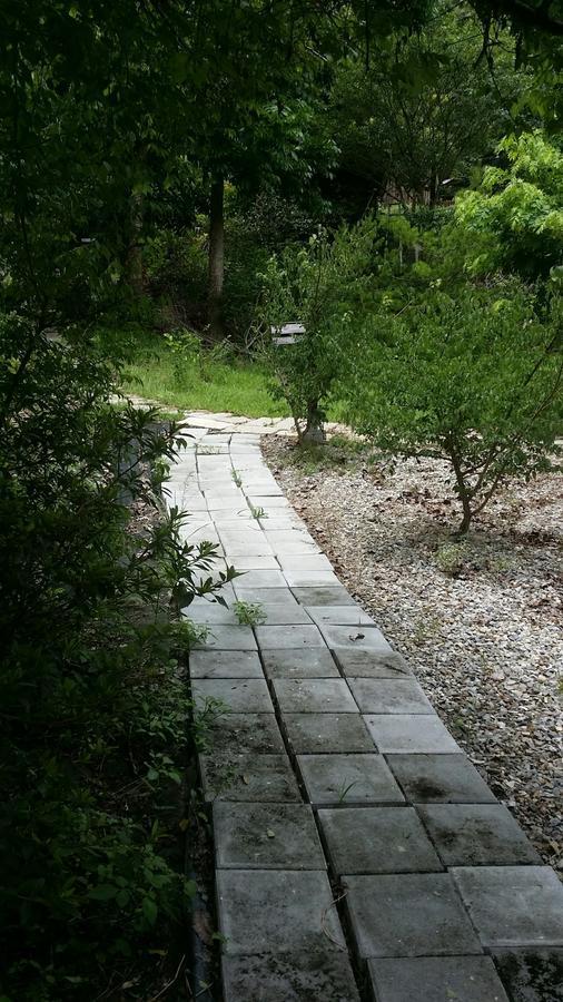 Bright Moon Homestay Dongshi  Eksteriør billede