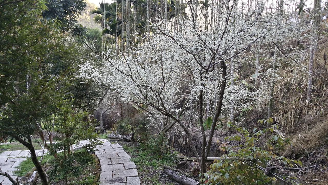 Bright Moon Homestay Dongshi  Eksteriør billede